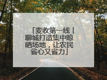 麦收第一线丨聊城打造集中晾晒场地，让农民省心又省力